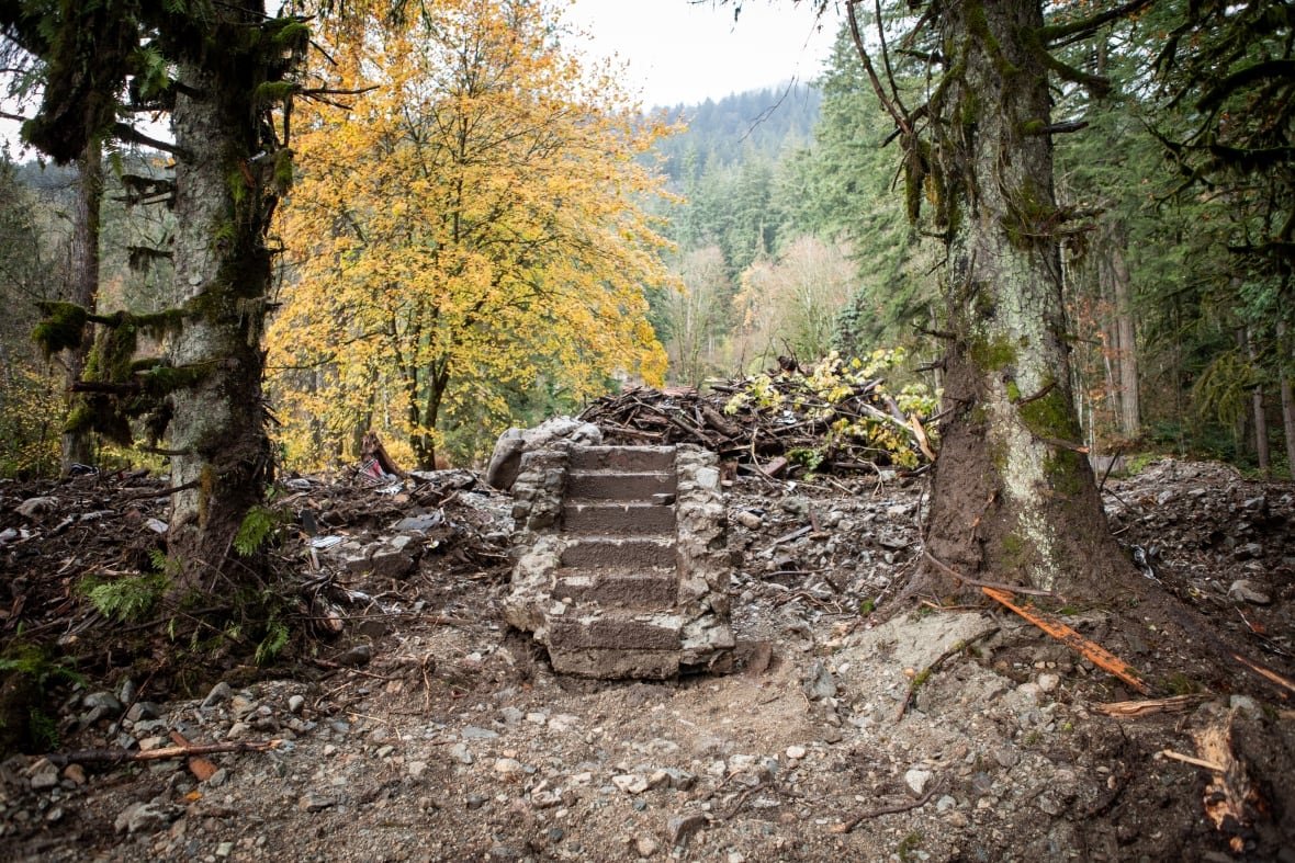 A staircase between two trees.