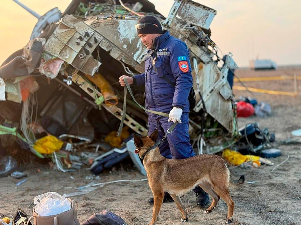 A man in a blue jumpsuit walks with a dog on a leash near the wreckage of a plane.
