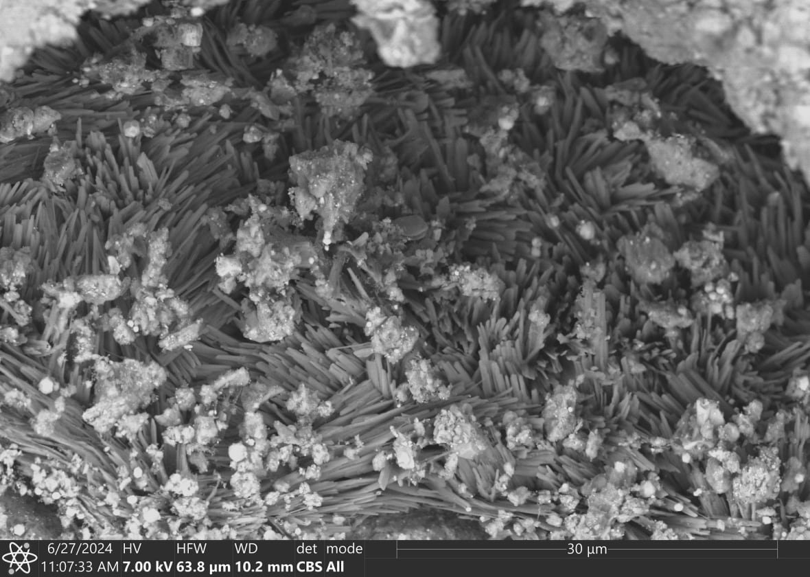 Black and white microscope image of needles and particles