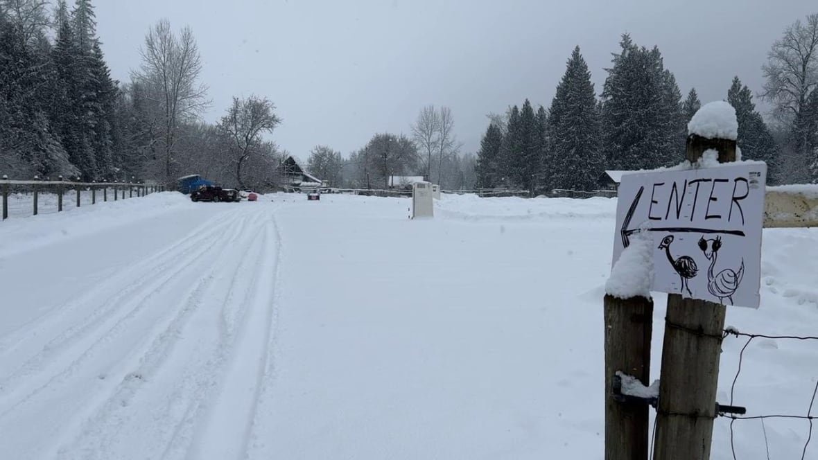 A snowy road with a handmade sign with stick drawings of ostriches.