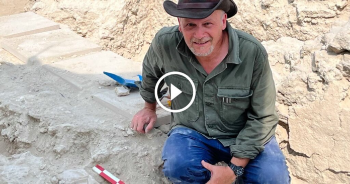 British archaeologist honoured with OBE proud to unearth remarkable past of 'second home' Bahrain - Dubai News TV
