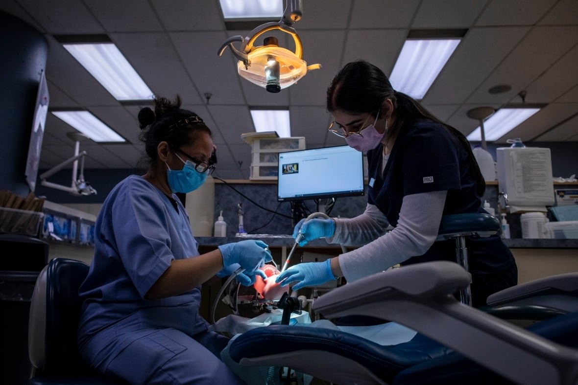 Students are pictured at Vancouver Community College dental clinic in Vancouver, B.C, on Friday, November 1, 2024 practicing dental work on a dummy.