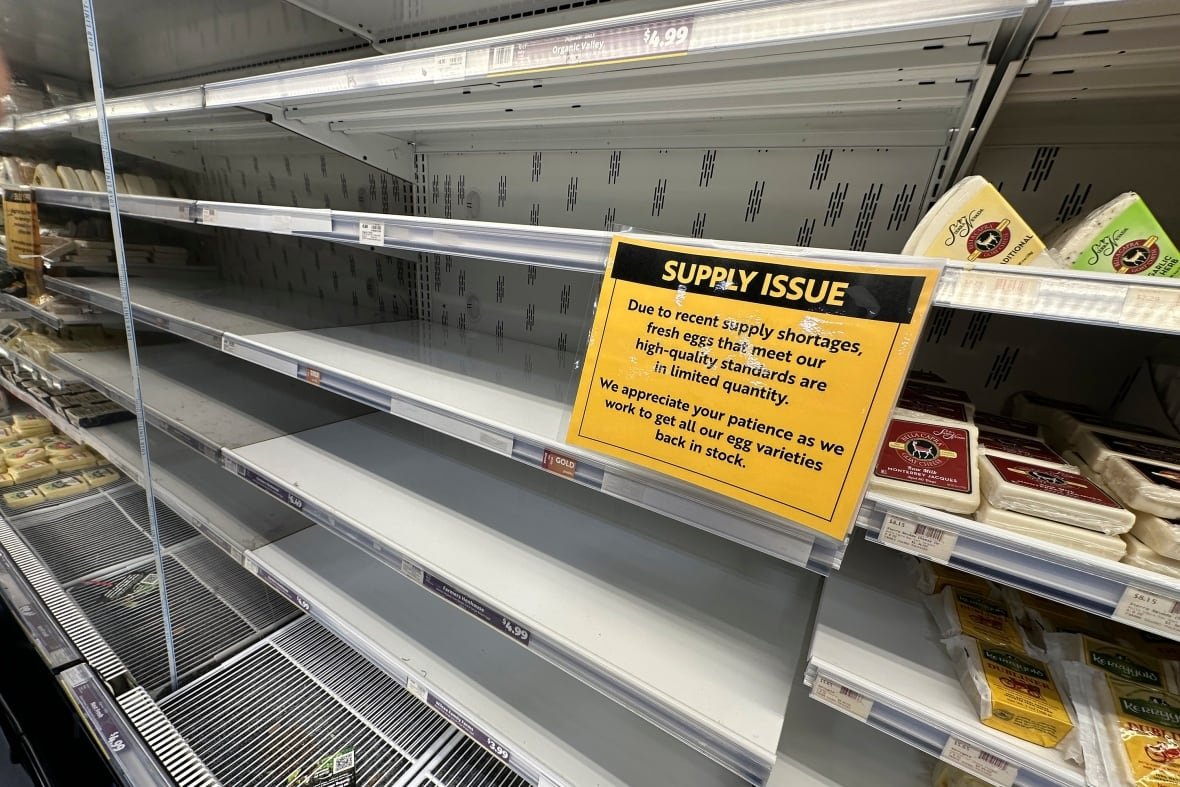 A sign hangs on an empty shelf in a grocery store.