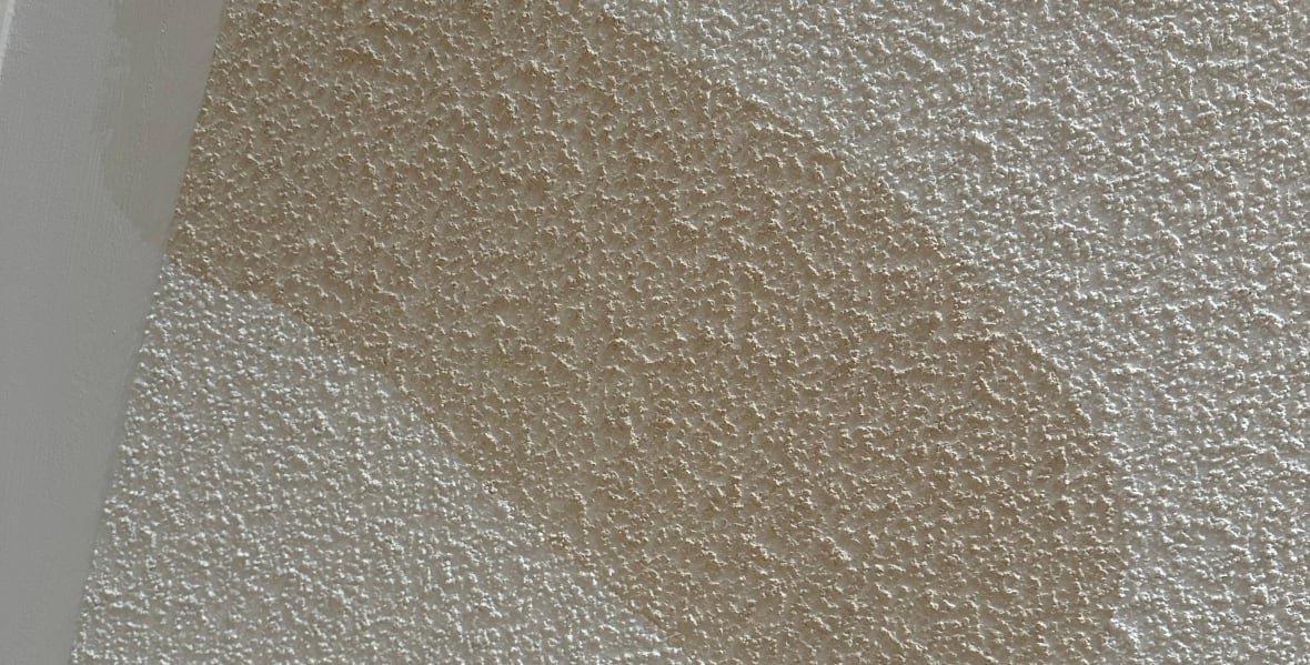 A water stain on the Cartier's livingroom ceiling.