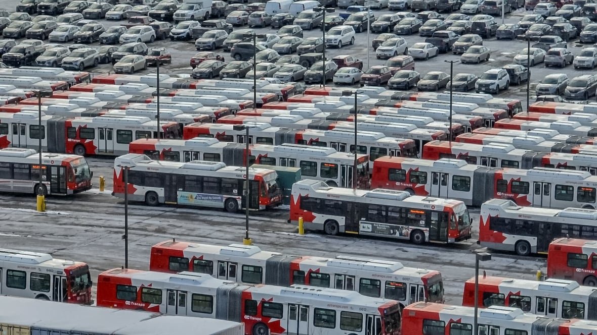 A photo of dozens of public buses, all parked in a lot in rows.