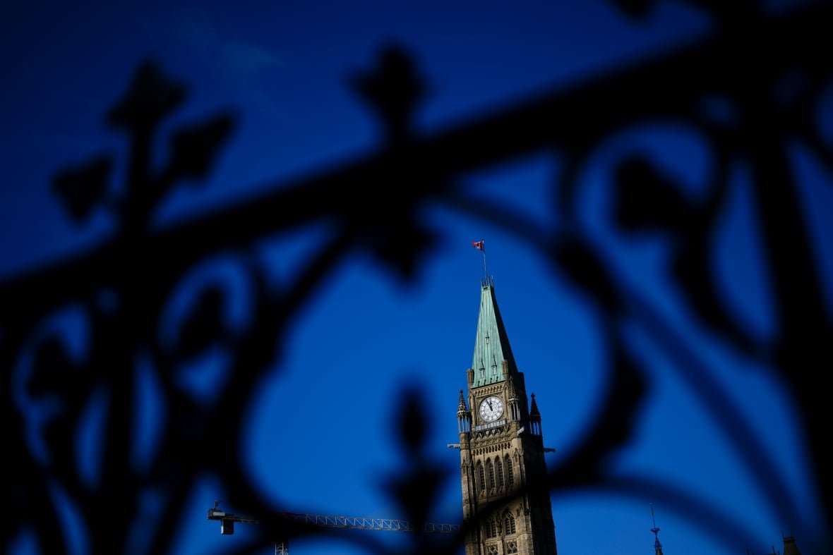 The Federal Court will soon decide whether or not a $2.5-billion class action lawsuit against Canada for its discrimination against Black public servants can proceed. The Peace Tower is framed through the iron railing on Parliament Hill in Ottawa on October 24, 2024. THE CANADIAN PRESS/Sean Kilpatrick