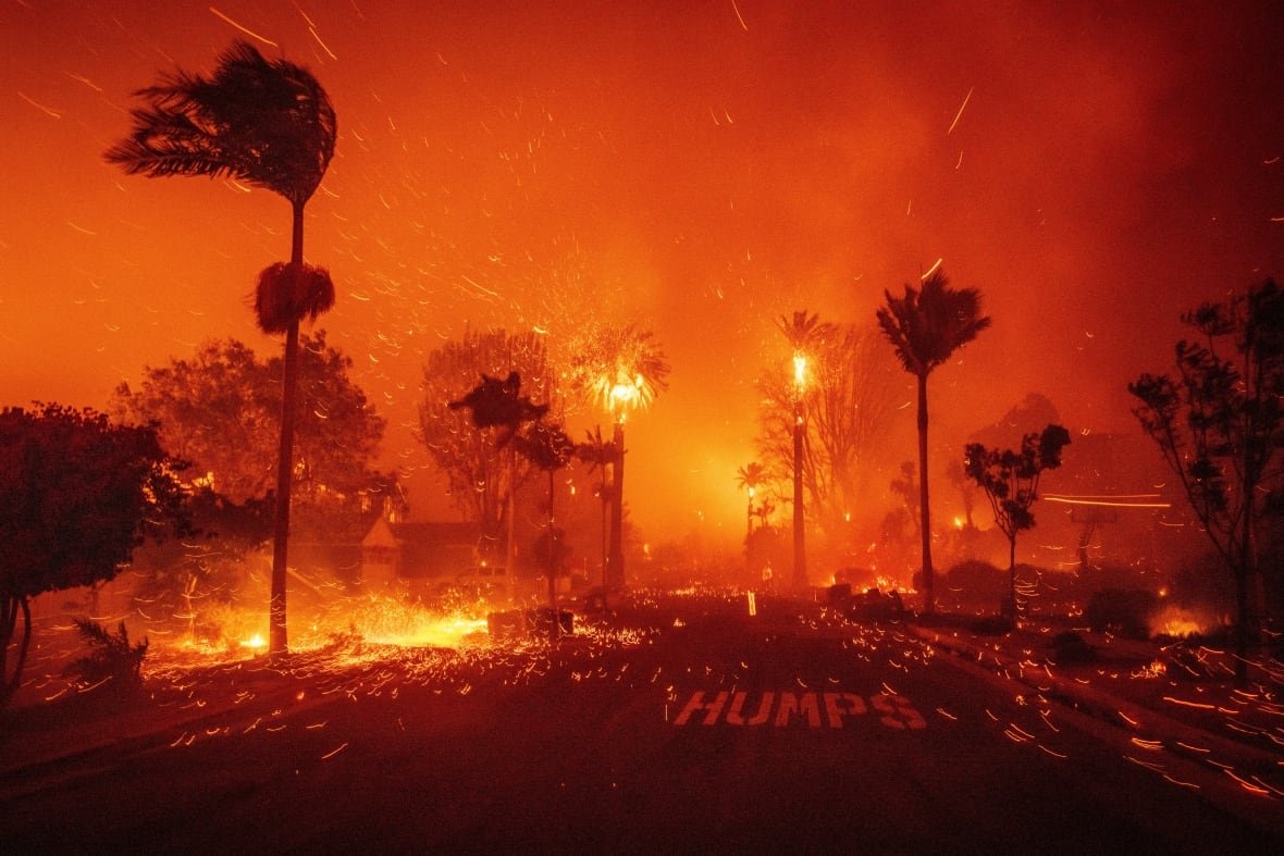 A wildfire rages on an urban street, as homes and trees burn.