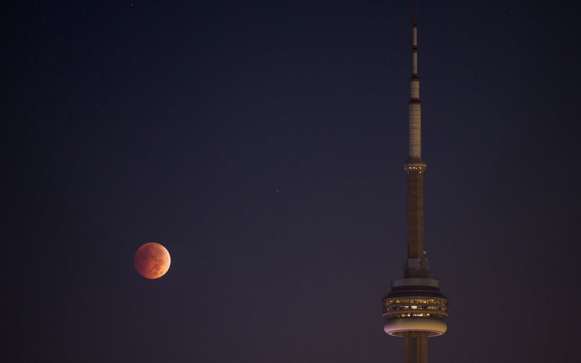 The moon turns orange during a total lunar eclipse behind the CN Tower during moonset in Toronto October 8, 2014. 