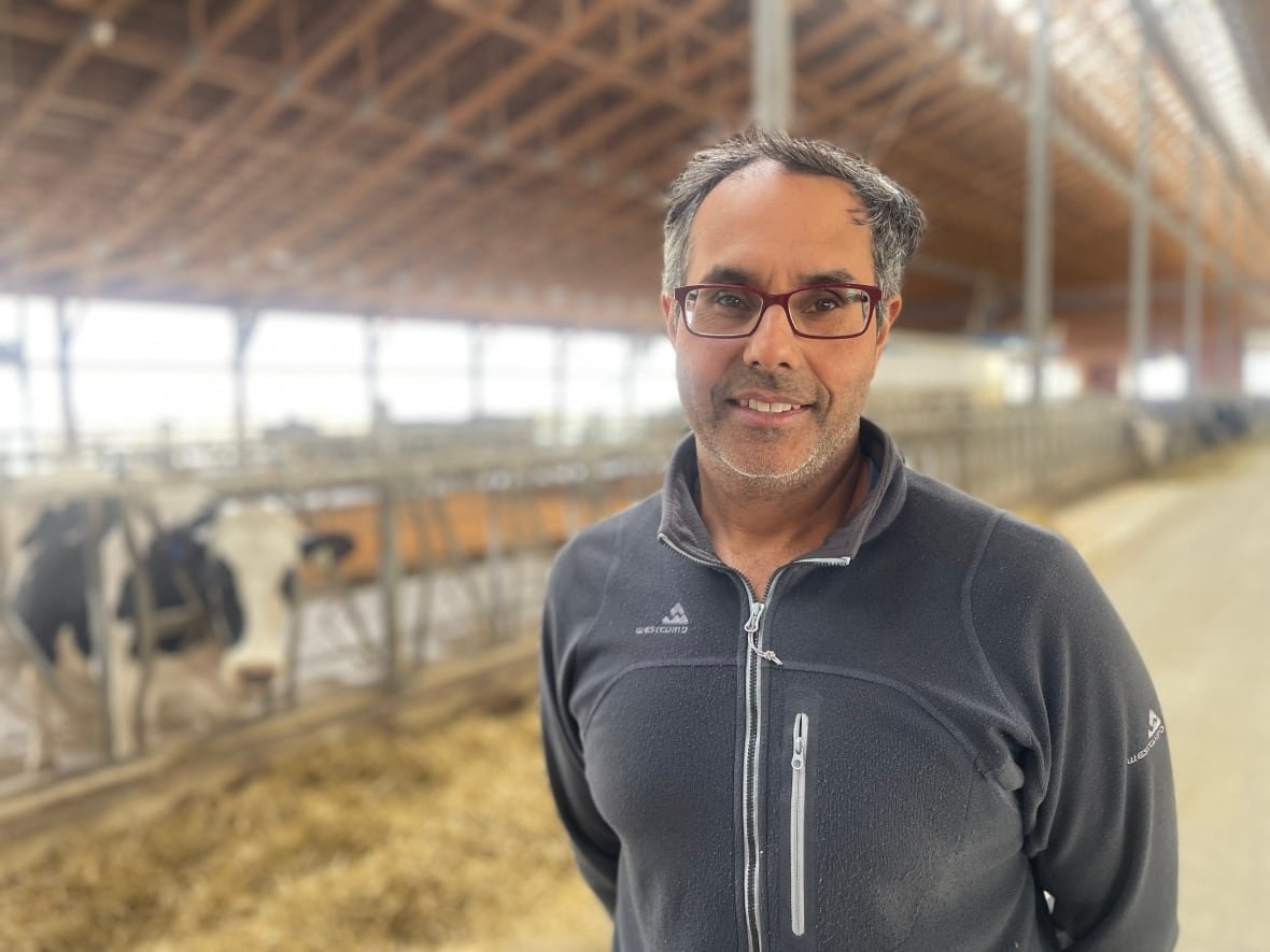 A man stands in a barn with a cow in the background.