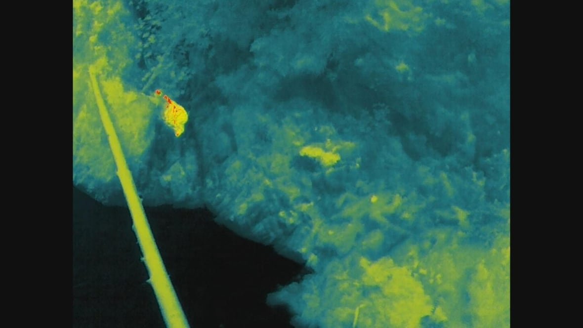 A drone equipped with thermal imaging software helped find this missing hiker in early December. " If the team hadn't found him that night it would be more of a recovery," says Grant Baldwin from North Shore Rescue.  