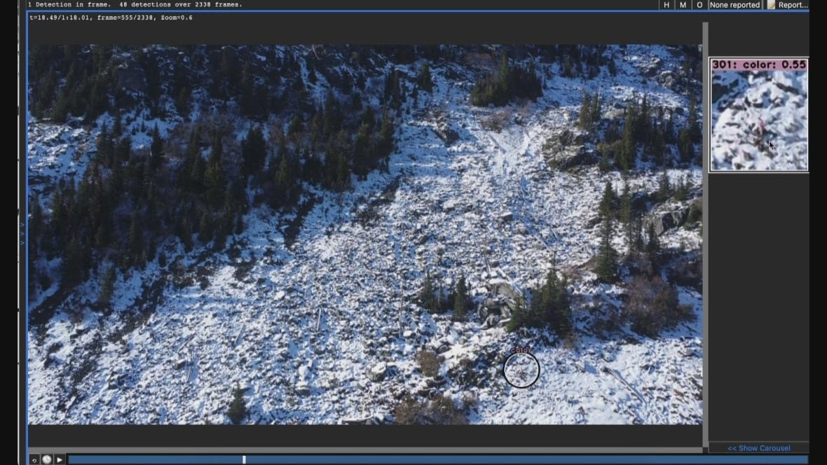 This computer vision AI software has been trained to spot anomalies in landscapes that are near invisible to the human eye. In this case the program is detecting a pink hue that doesn't belong in the snowy scree field. 