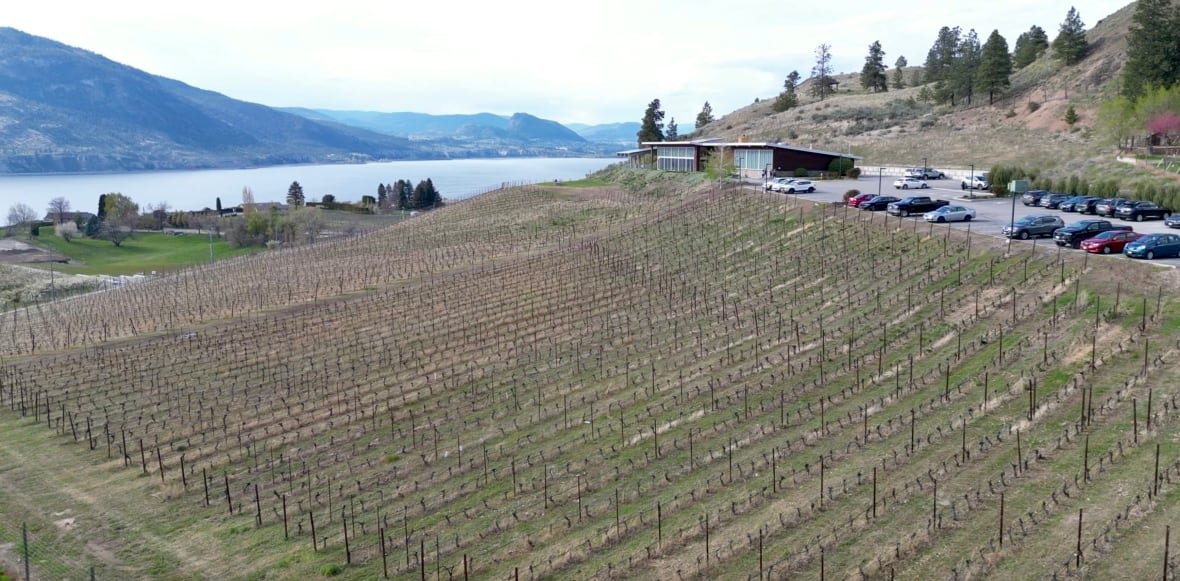 An aerial view of a winery in Penticton.