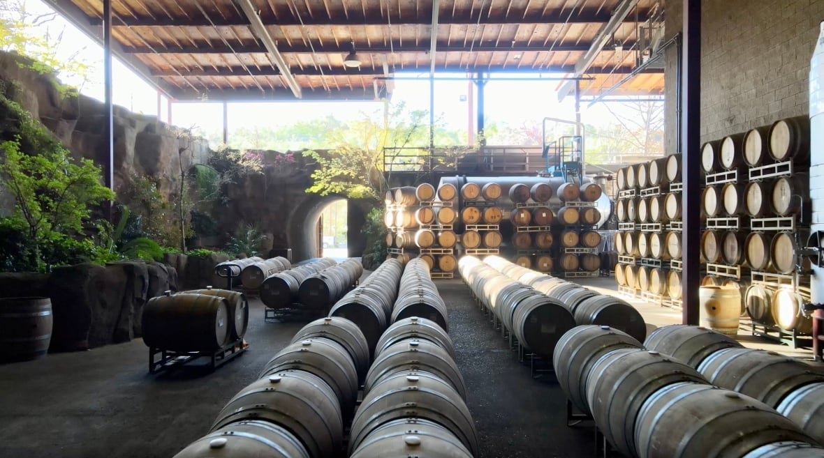 Rows of wine barrels are shown at a winery in California