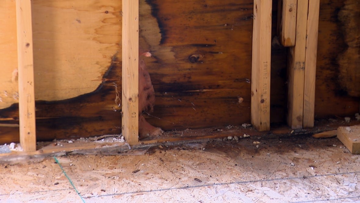 A wall and floor show signs of water discolouration and mould.