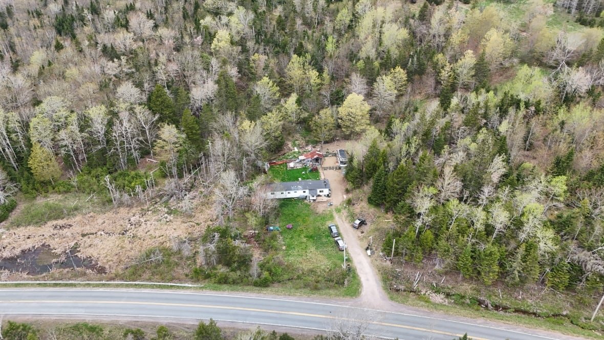 An aerial view of a property in Lansdowne Station
