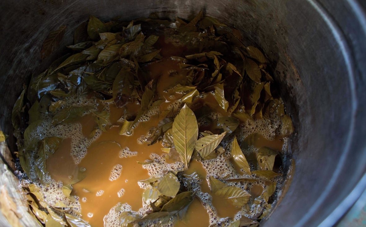 Leaves and a liquid are shown in a bucket.