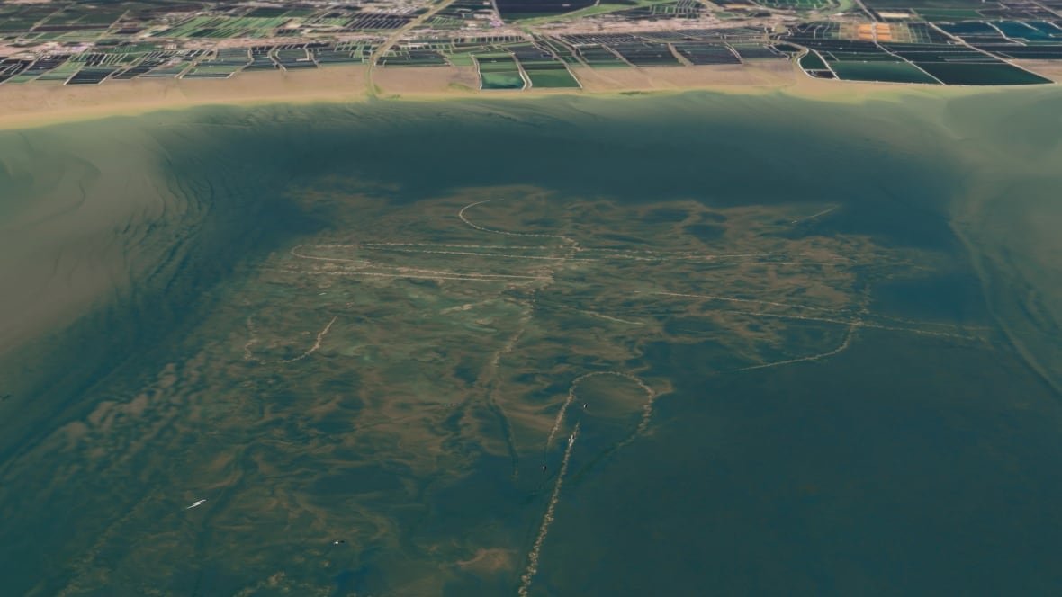 An aerial view of the impacts of bottom trawling on the ocean floor.