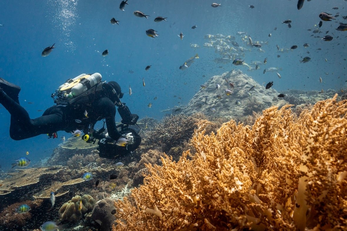 A man in scuba gear holds a camera as he films a coral reef in Indonesia. 