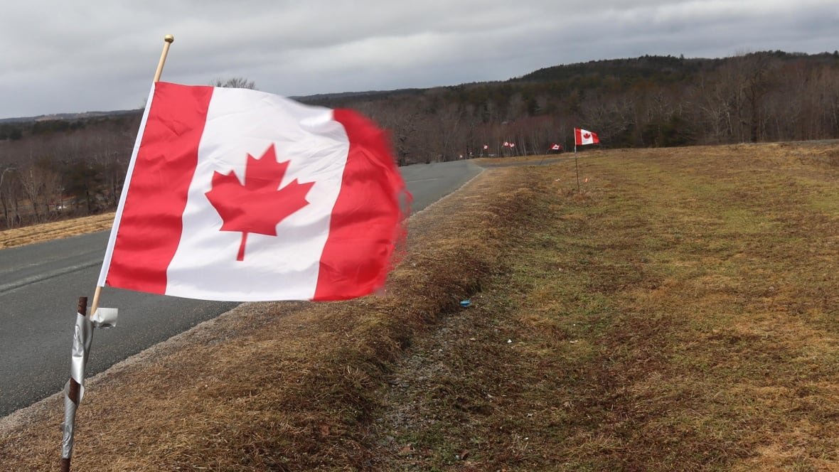 Canadian flags are seem planted along a rural road.