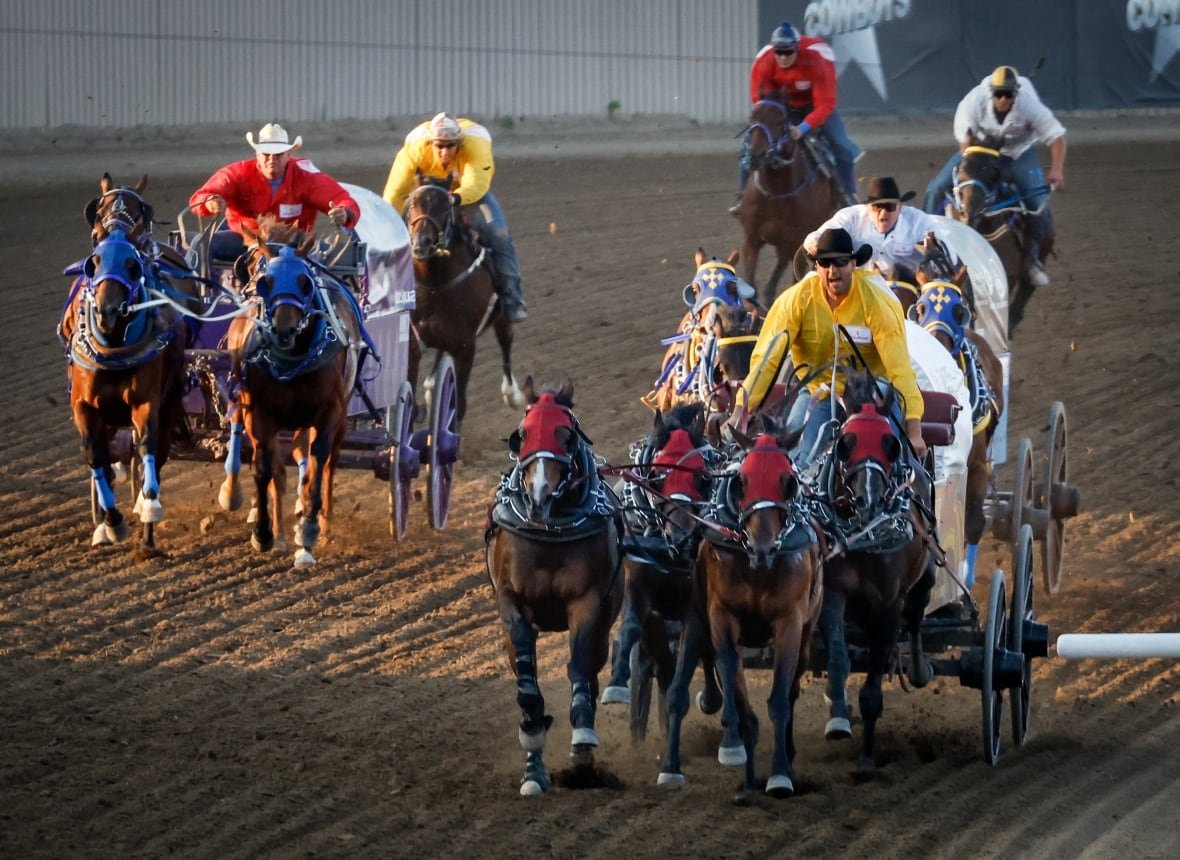 Drivers cross the finish line during chuckwagon racing action at the Calgary Stampede in Calgary, Alta., Saturday, July 8, 2023.
