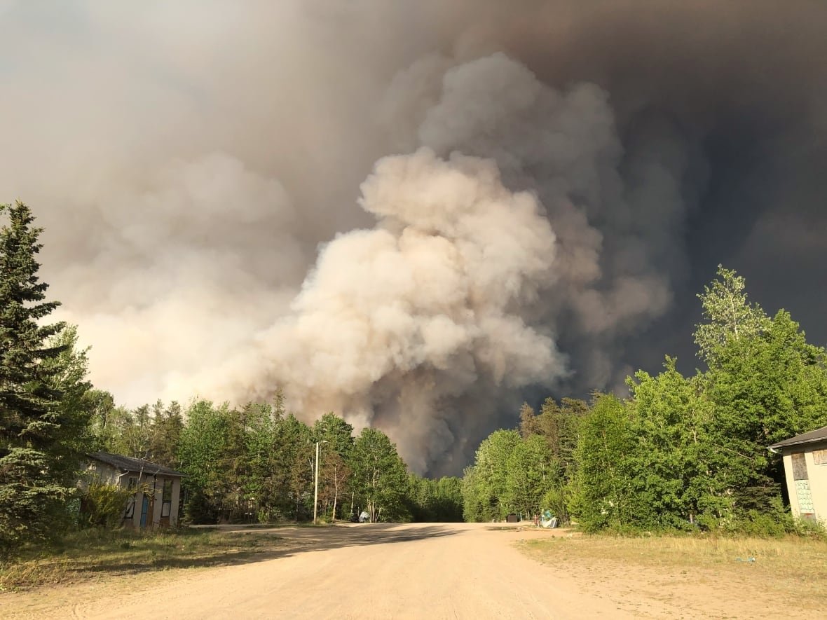 Wildfire
