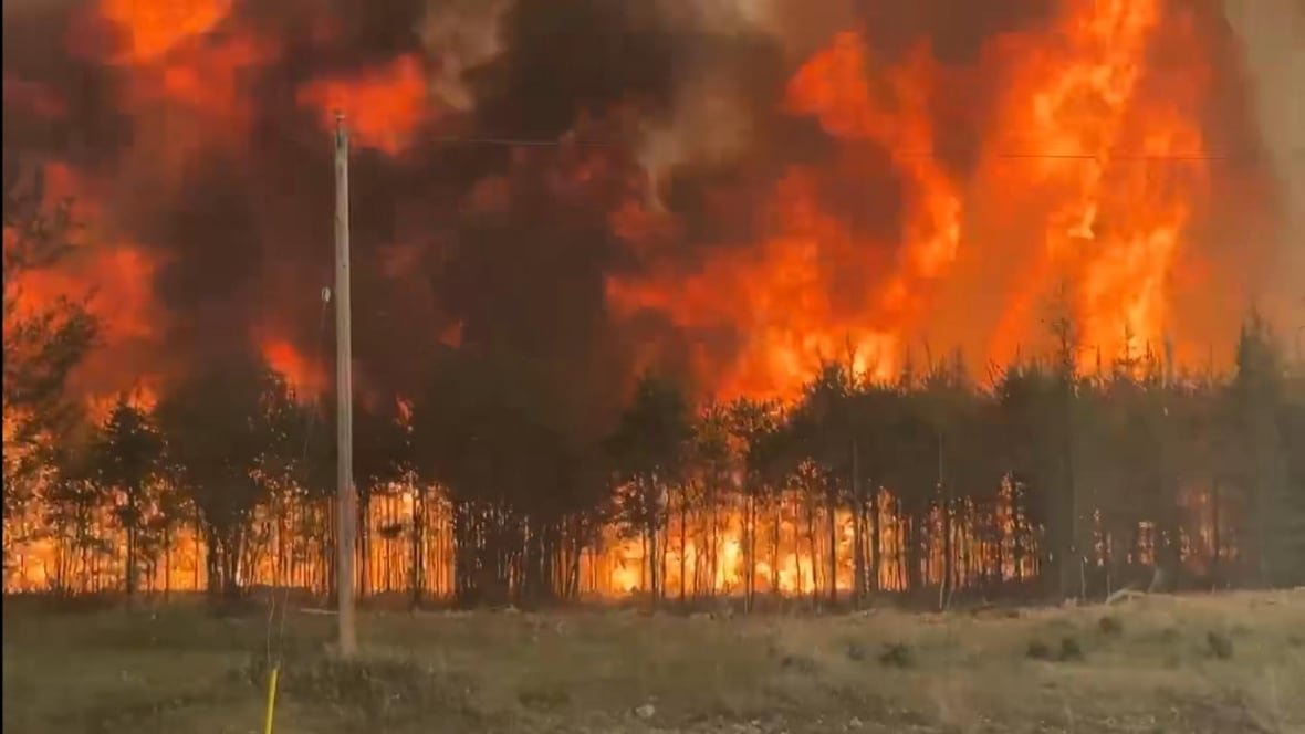 Flames and black smoke rise into the sky behind a row of trees, with a hydro pole in front of them.