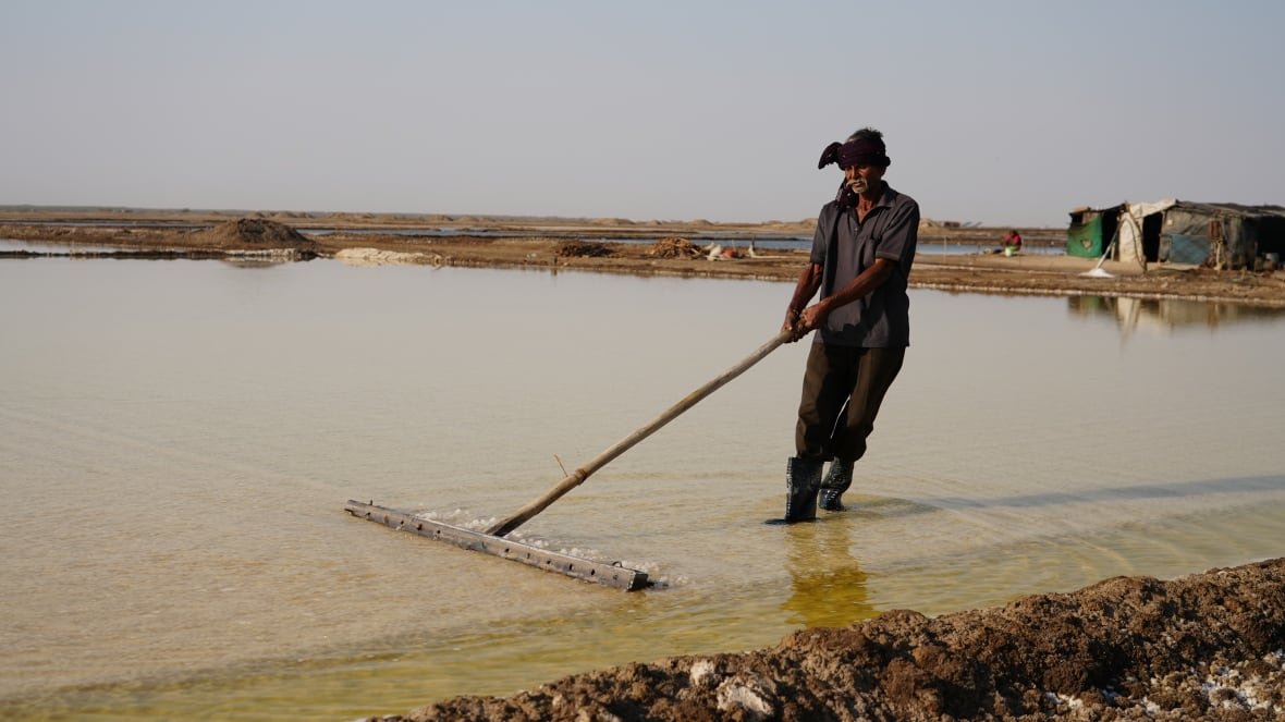 A person pulls a large rake through shallow water.