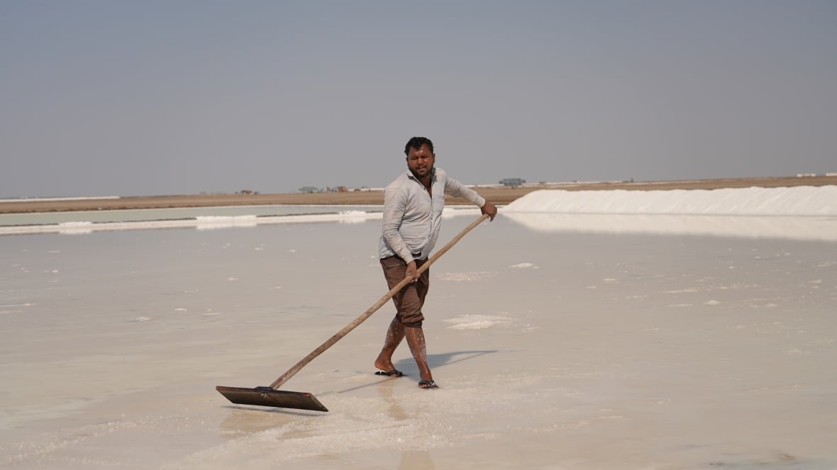 A person drags a large rake through shallow water.