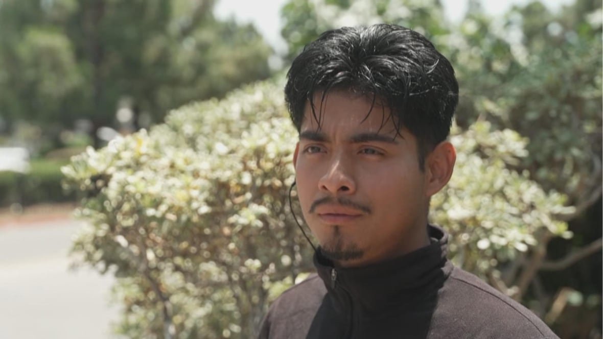 A young man with black hair and a black shirt stands in front of a bush. 