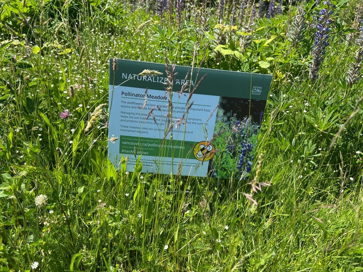 Sign in the middle of a meadow.