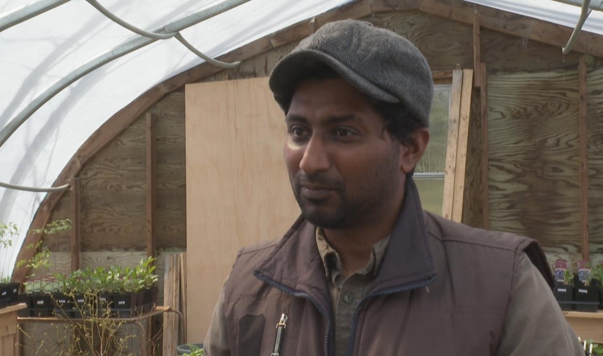Man stands in a greenhouse speaking to a reporter