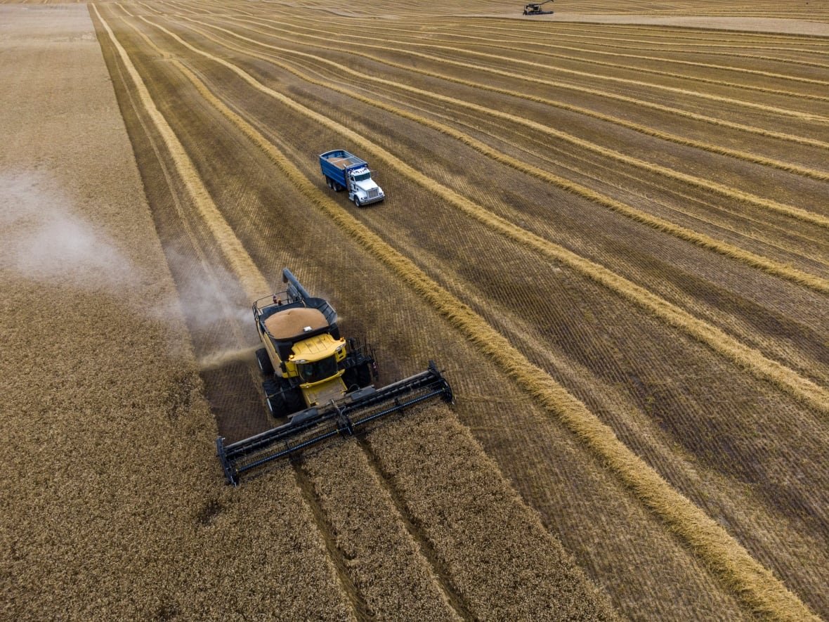 Aerial shot of machines harvesting wheat in a wheat field