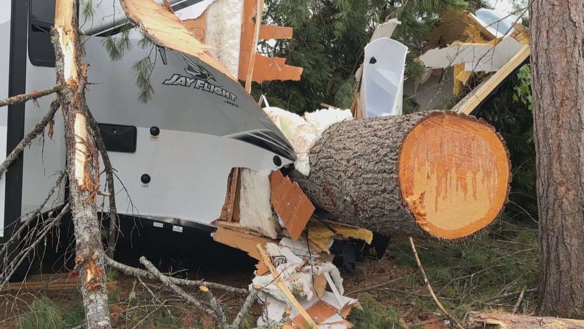 A destroyed camping trailer with a fallen tree on it.