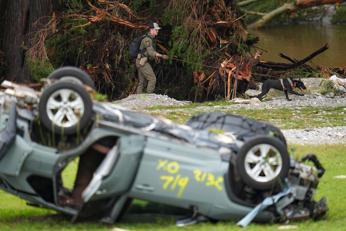 An official walks with a canine dog in front of a flipped car.