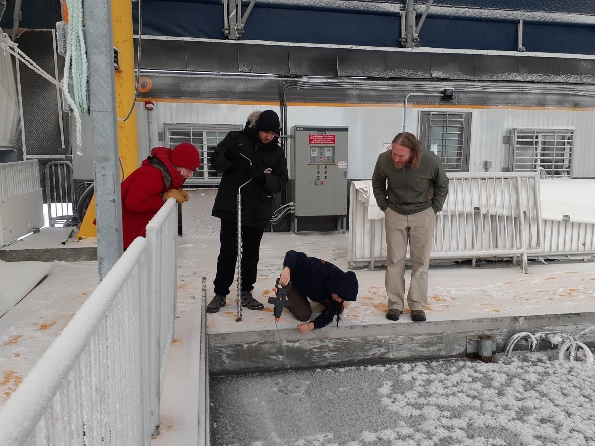 Four people dressed in winter jackets look down into a frozen pool of water