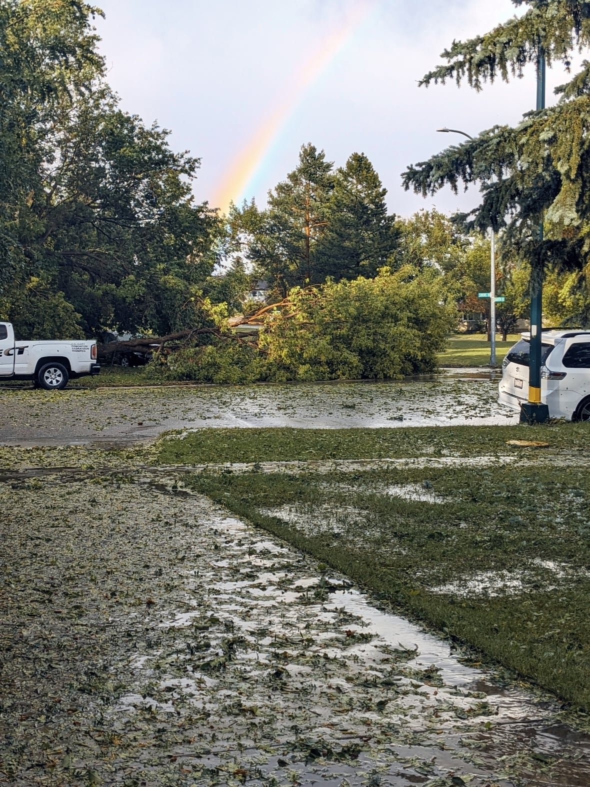 A rainbow can be seen from Calgary's Thorncliffe neighbourhood, behind trees and fallen branches, after Sunday night's hailstorm.