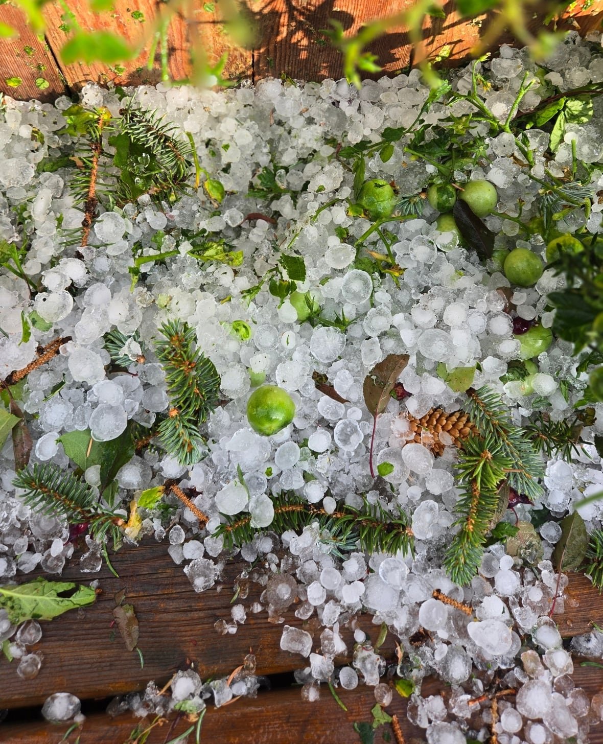 hail.