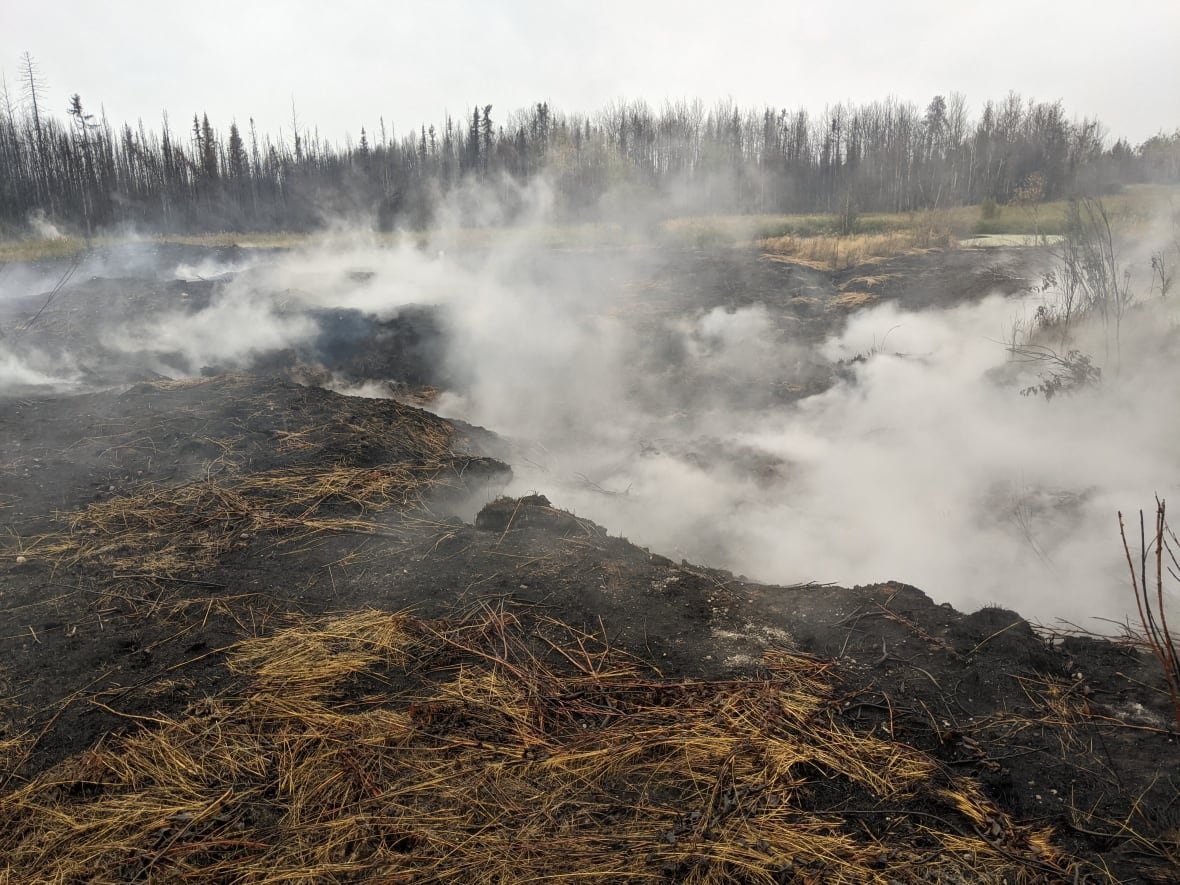 A peatland wildfire in Alberta in 2021. Peatland fires can burn at a lower intensity over long periods of time, and emit a lot of carbon because a peatland soils are carbon-rich.