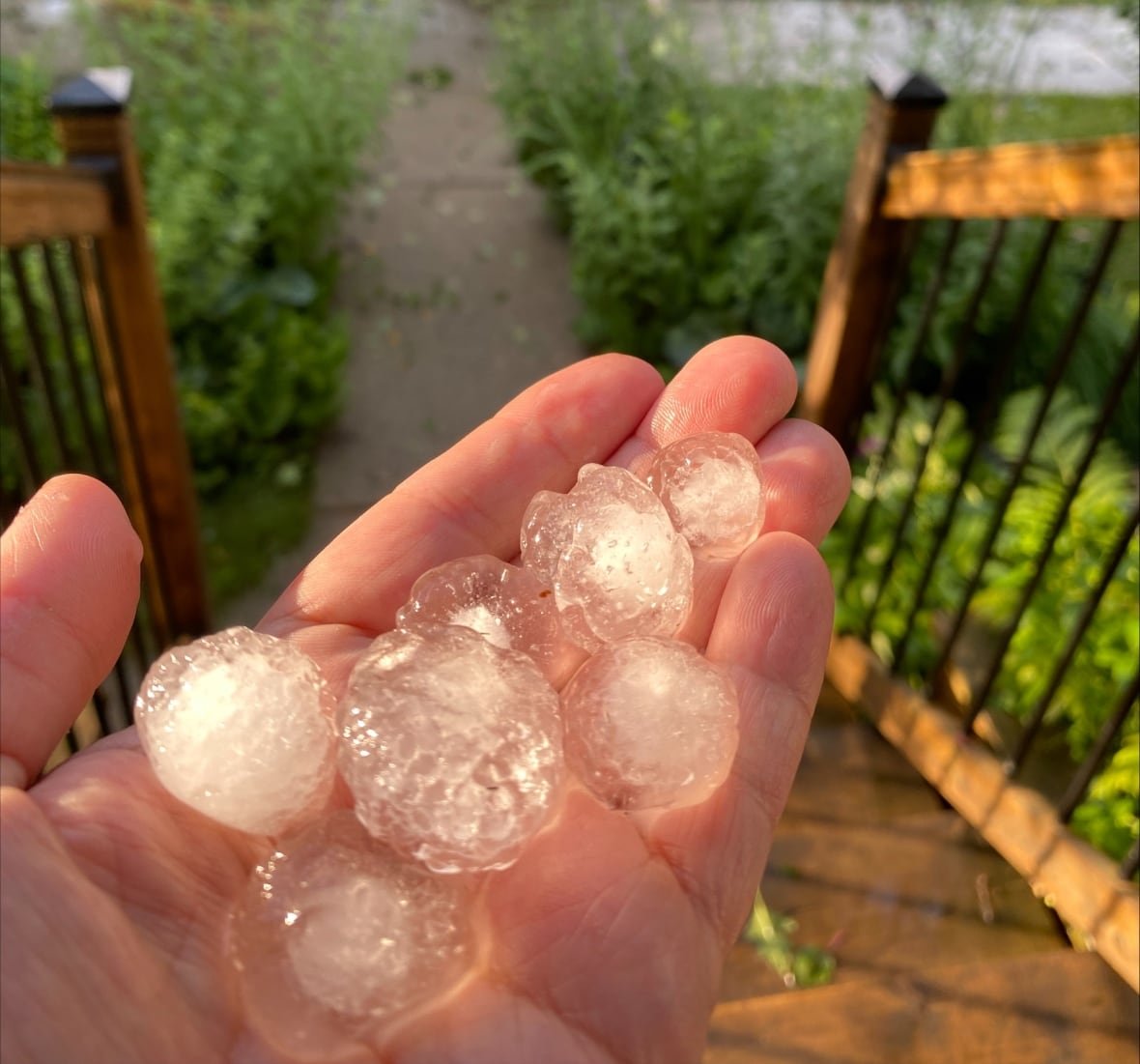 A hand holds up big hail.