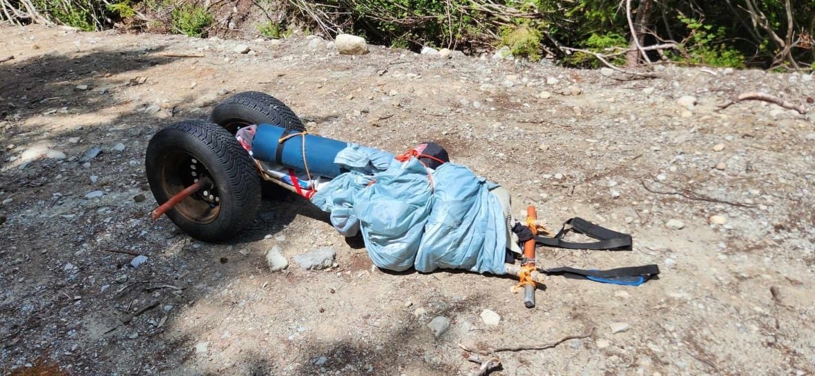 A couple of car tires made into a wagon, on a logging road.