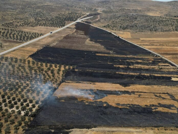Israel Is Proceeding With Annexation, And There Is Only One Way To Stop It - Dubai News TV