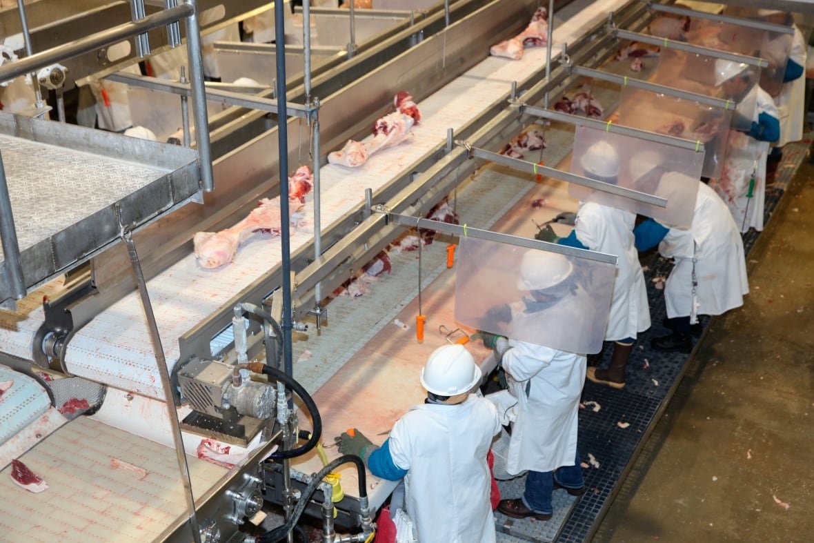 people stand on an assembly line with meat passing by on a conveyor belt