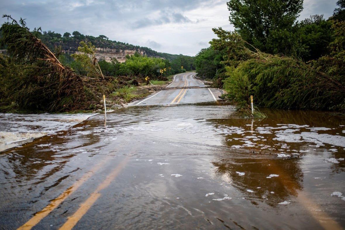 Large amounts of water cover a road, with tree debris on the ground also shown.