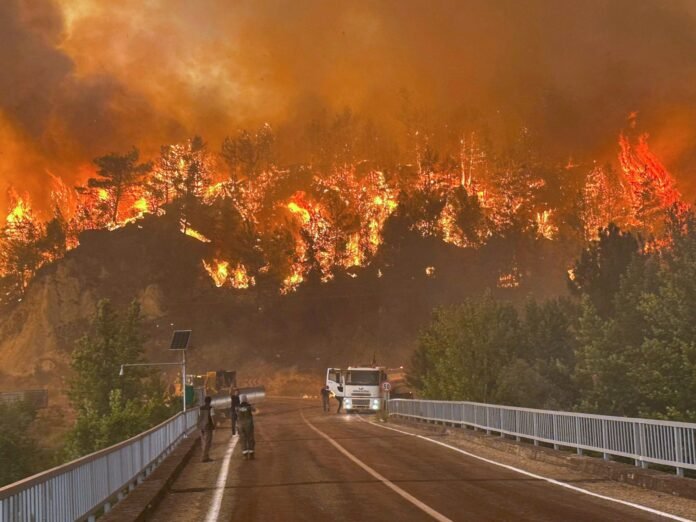‘Apocalypse’: Turkiye Wildfires Reach Key Northwest City As Hundreds Flee - Dubai News TV