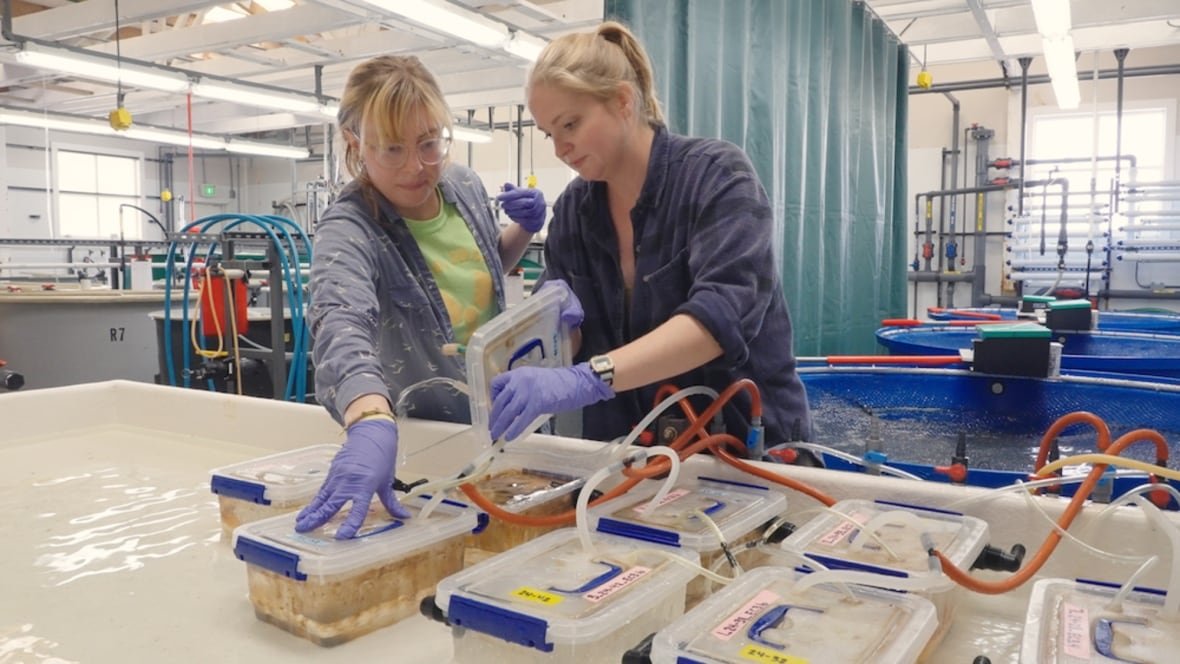 Two researchers in the lab.
