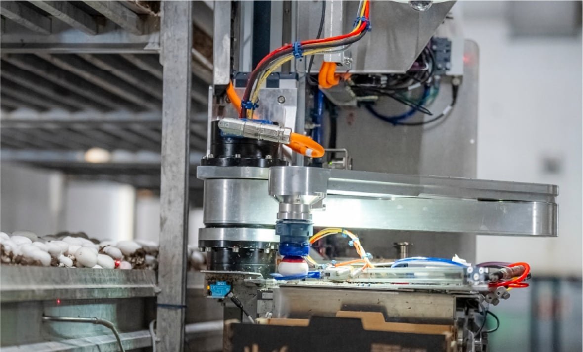 A chrome metal machine uses a suction cup to grab a white button mushroom. 