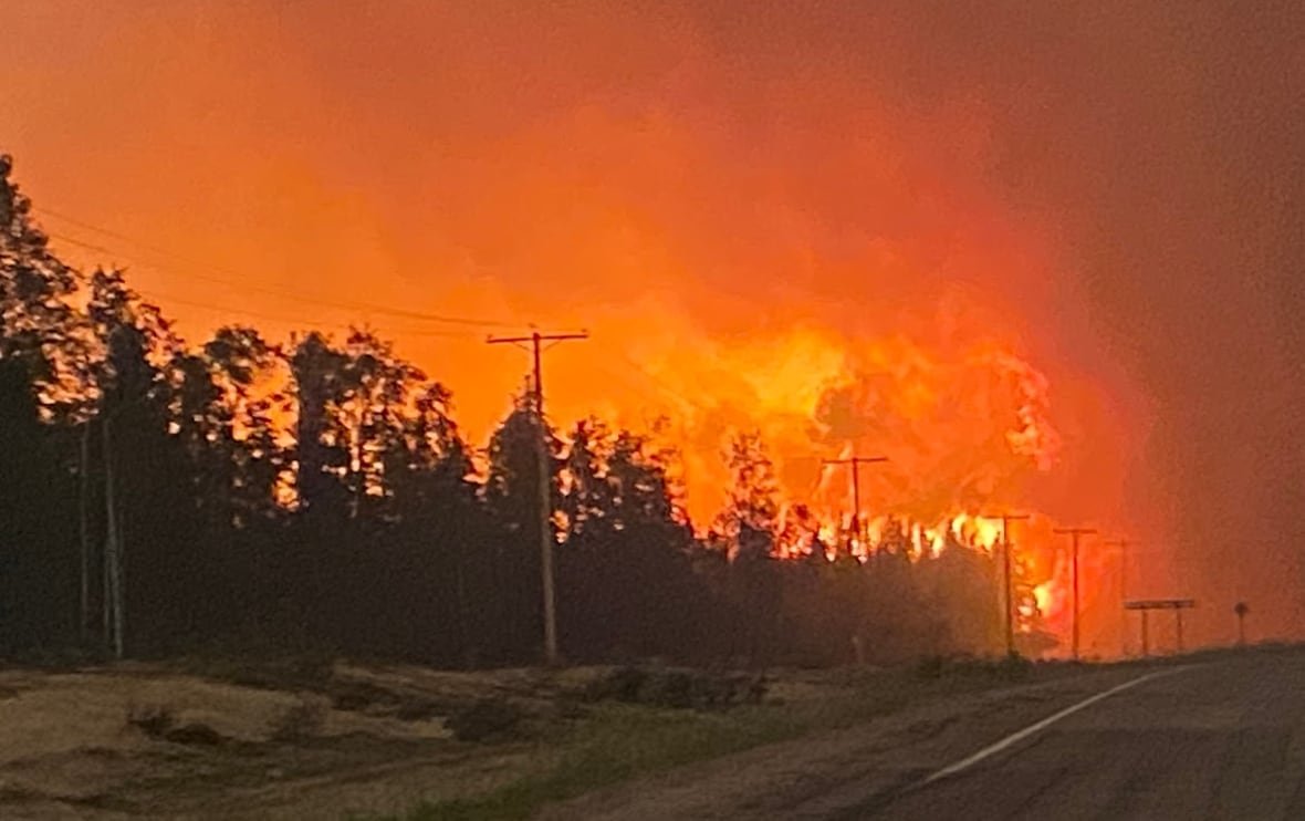 Fire burns trees beside a highway.