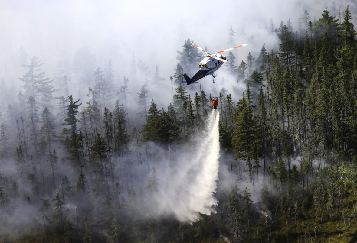 A helicopter drops water onto a forest. Smoke can be seen in the background. 