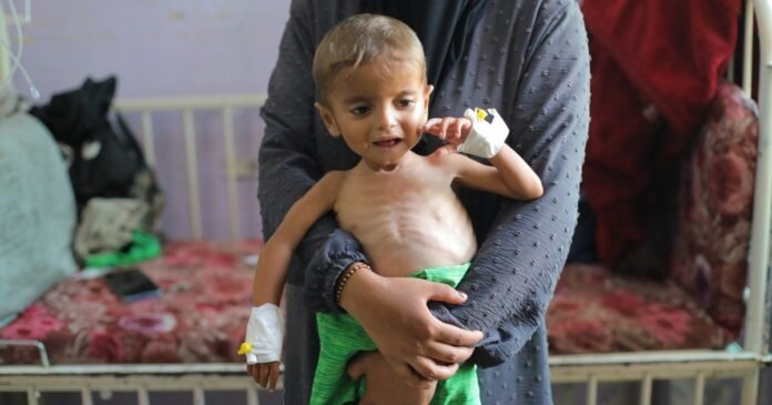 More Than 100 Groups Blast Israel’s ‘weaponisation Of Aid’ As Gaza Starves - Dubai News TV