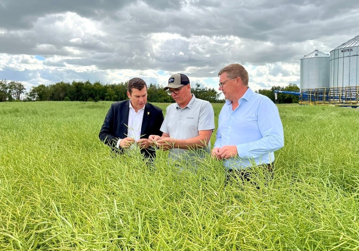 Three men stand in a field